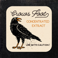 Coaster: Holiday, Halloween Witch Poison Bat Crow Set - Pack of 6