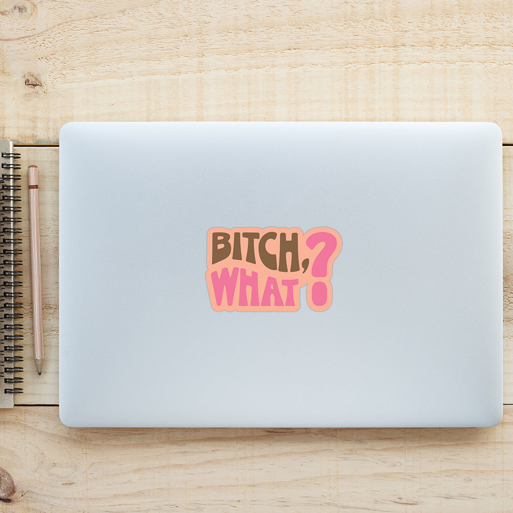 Sticker: Bitch, What? - Pack of 25