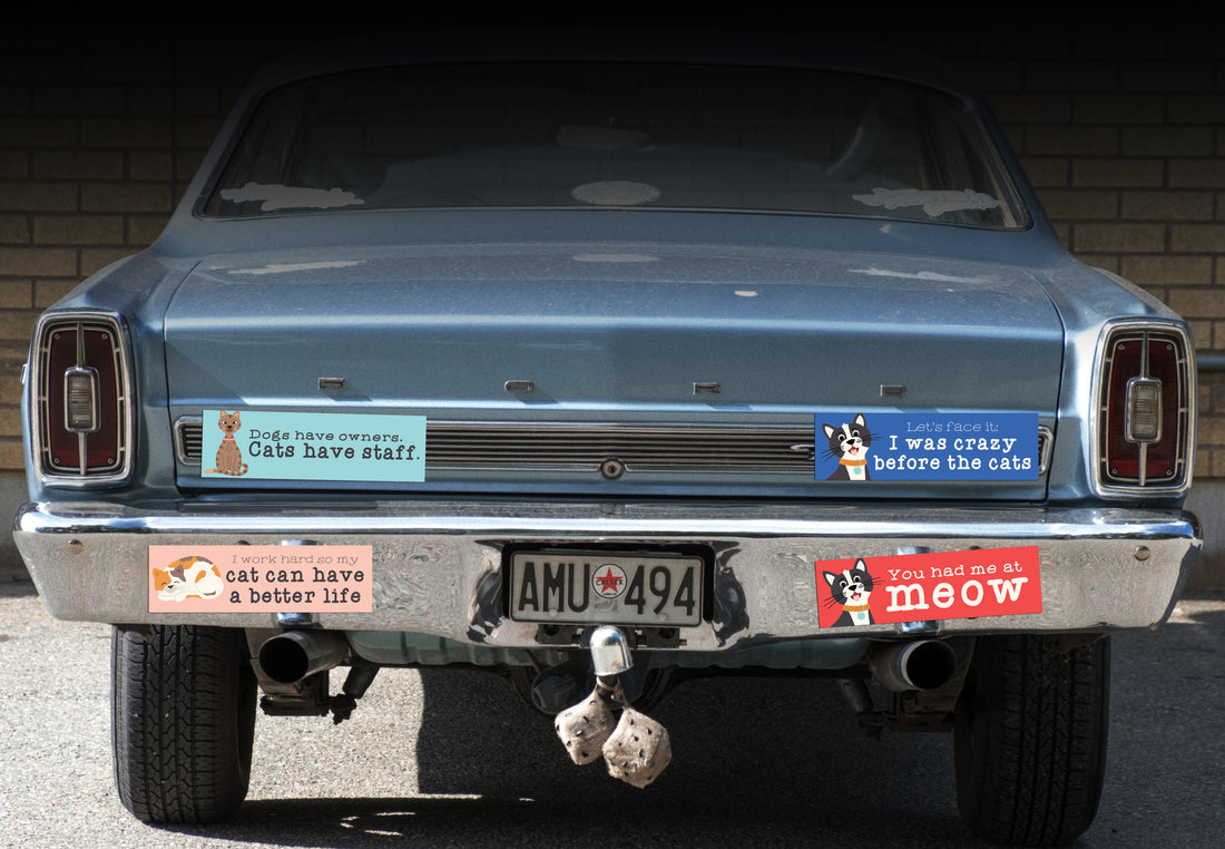 Bumper Sticker: Pets: I Work Hard So My Cat Can Have a Better Life