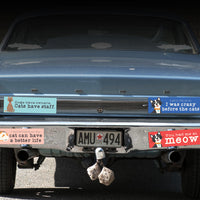 Bumper Sticker: Pets: I Work Hard So My Cat Can Have a Better Life