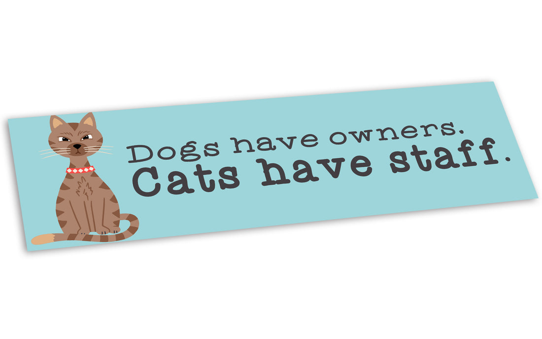 Bumper Sticker: Pets: Dogs Have Owners Cats Have Staff (cat)
