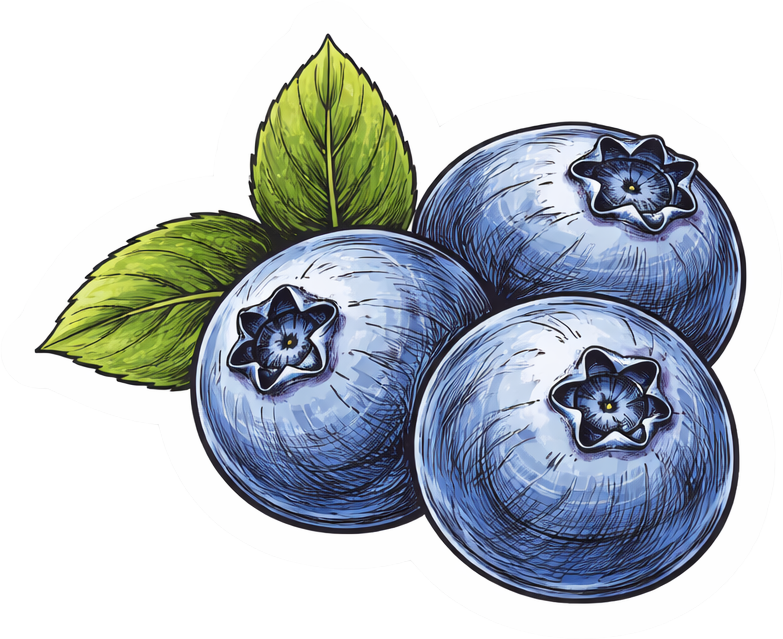 Sticker: Fresh Blueberries - Namedrop