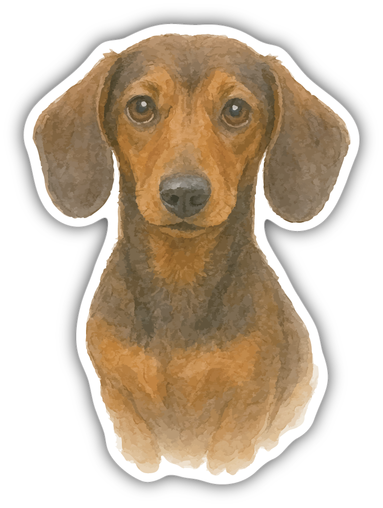 Sticker: Dachshund - Pack of 24