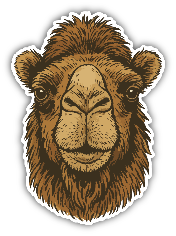 Sticker: Camel Head - Pack of 24