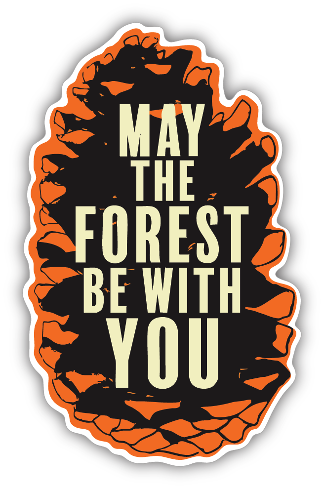Sticker: May the Forest Be With You - Namedrop - Pack of 24