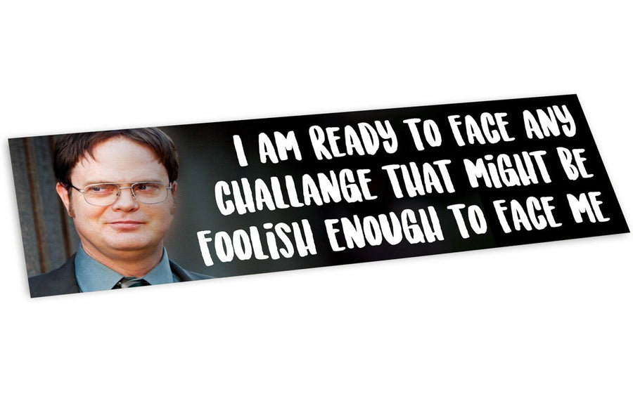 Bumper Sticker: I Am Ready to Face Any Challenge - Pack of 6