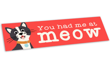 Bumper Sticker: Pets: You Had Me at Meow