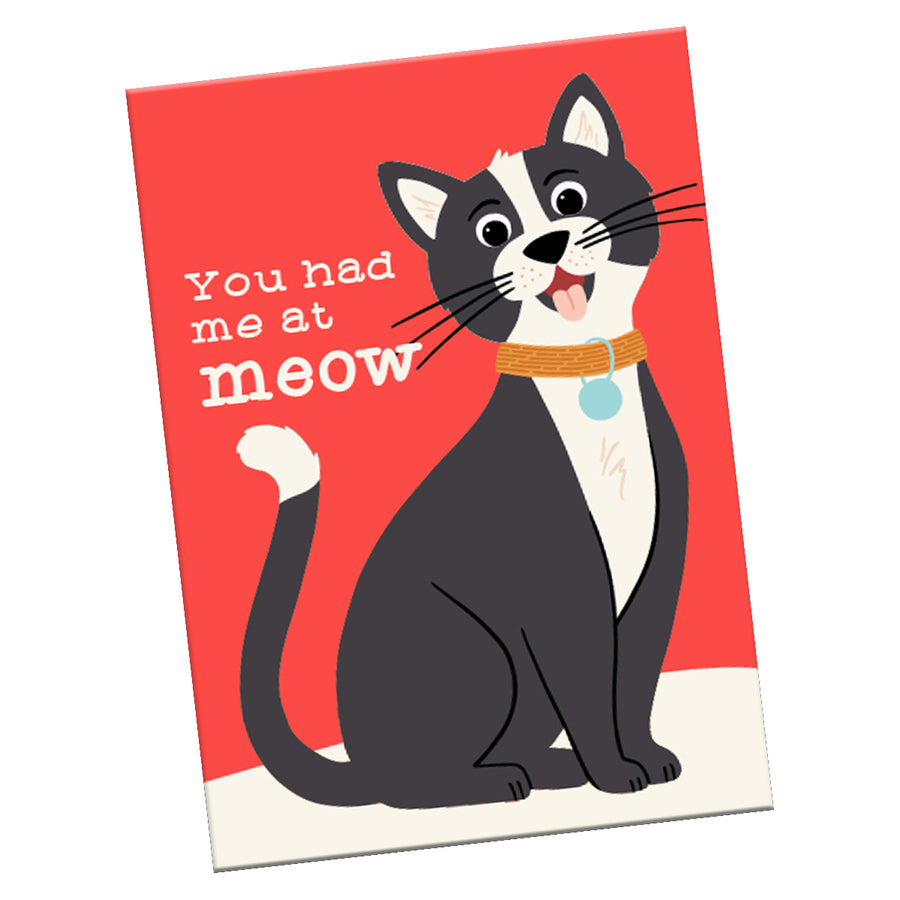 Magnet: Pets "You Had Me at Meow" - Pack of 6